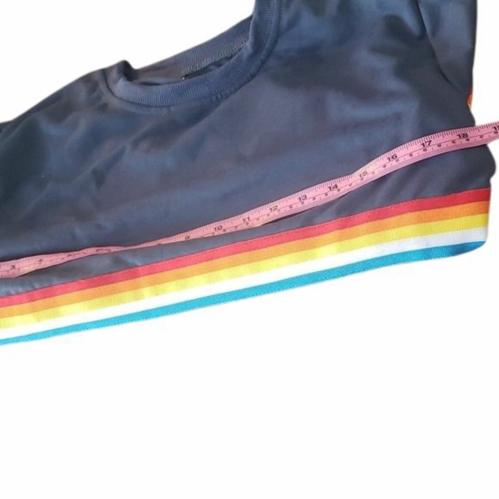 Rainbow Stripe Blue Cropped Lightweight Pride Sweatshirt, Sz L - Picture 12 of 13